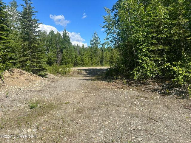 3854 N Sluice Box Drive, Houston, AK 99623