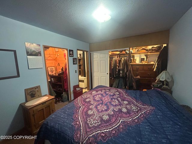 3854 N Sluice Box Drive, Houston, AK 99623