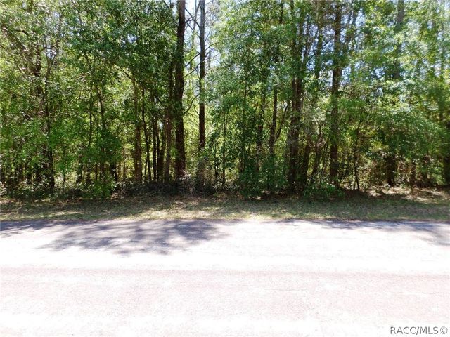 1361 W Saint Elizabeth Place, Citrus Springs, FL 34434