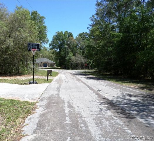1361 W Saint Elizabeth Place, Citrus Springs, FL 34434