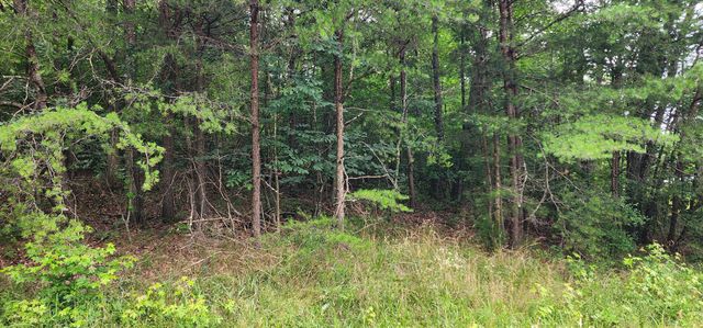 0 Sequatchie Mountain Rd, Sequatchie, TN 37374