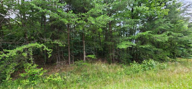 0 Sequatchie Mountain Rd, Sequatchie, TN 37374