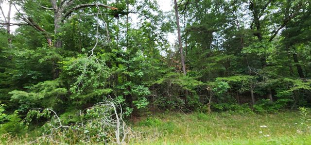 0 Sequatchie Mountain Rd, Sequatchie, TN 37374