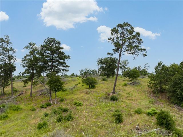 000 McAllister RD, Bastrop, TX 78602