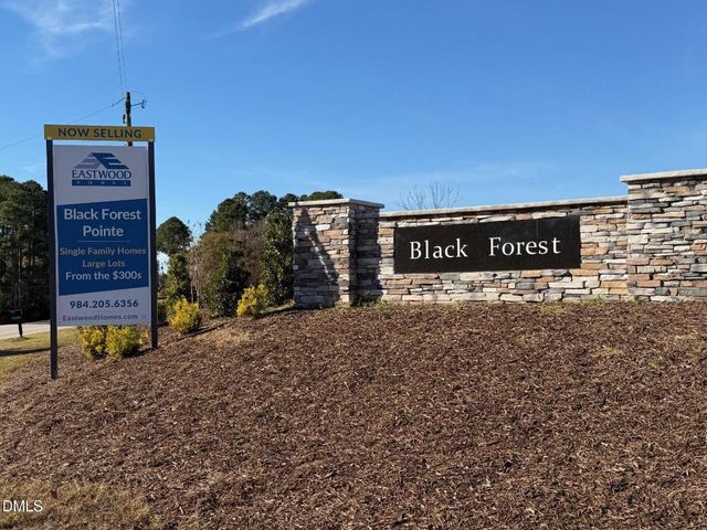 18 Cedar Run Court 11, Benson, NC 27504