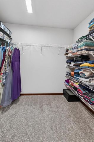 5 Rustling Birch Court, Verona, WI 53593