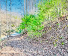 Lot 18 Horseshoe Cove Dr/Mistyhollow Drive, Butler, TN 37640
