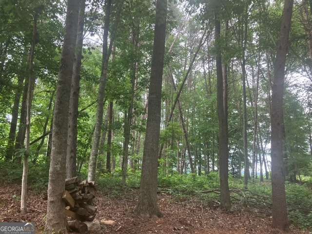 647 Philadelphia Drive, Jasper, GA 30143