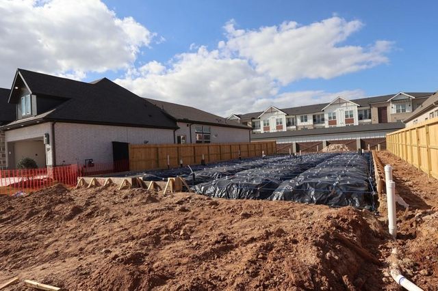 222 Mandarin Mist Street, Richmond, TX 77406