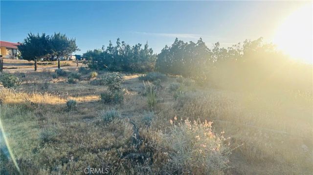 9132 Candlewood, Apple Valley, CA 92308