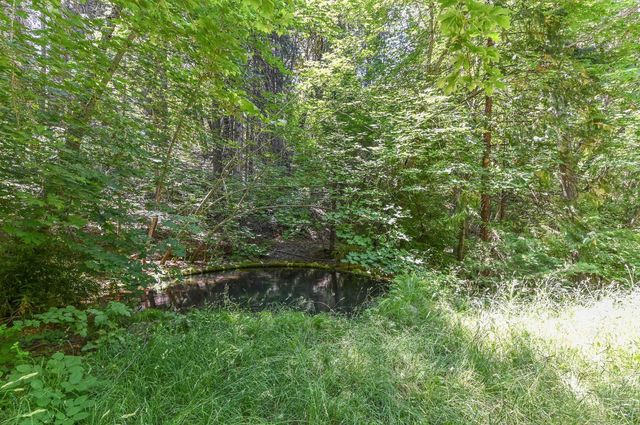 27050 Inspiration Dr, Pioneer, CA 95666