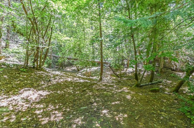 27050 Inspiration Dr, Pioneer, CA 95666