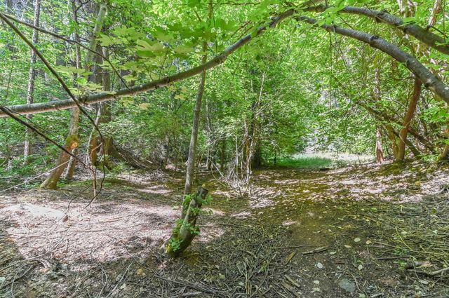27050 Inspiration Dr, Pioneer, CA 95666