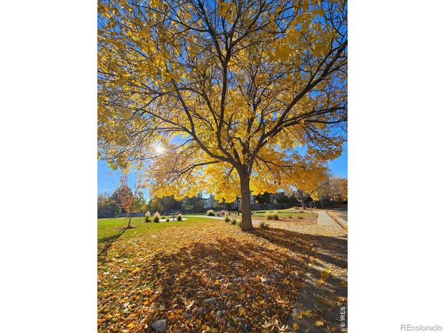 210 S Cherrywood Drive 303, Lafayette, CO 80026