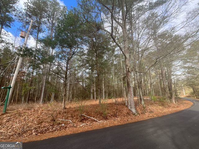 8615 Smith James Road TRACT 2, Snellville, GA 30039