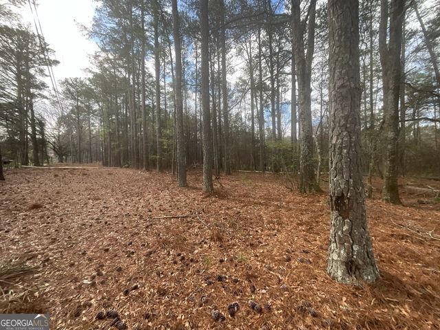 8615 Smith James Road TRACT 2, Snellville, GA 30039