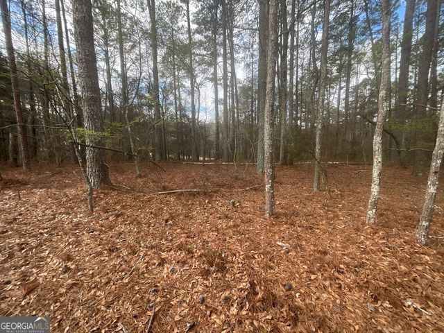 8615 Smith James Road TRACT 2, Snellville, GA 30039