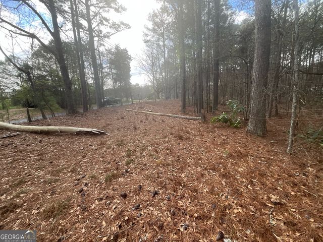 8615 Smith James Road TRACT 2, Snellville, GA 30039