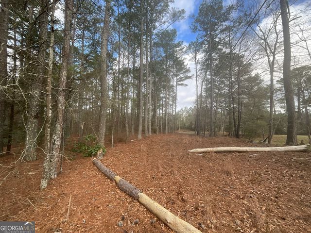 8615 Smith James Road TRACT 2, Snellville, GA 30039