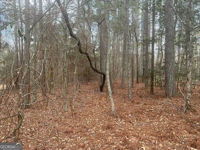 8615 Smith James Road TRACT 2, Snellville, GA 30039