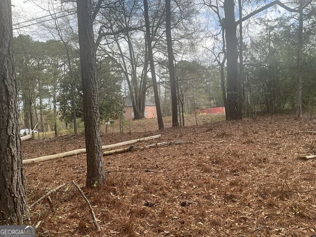 8615 Smith James Road TRACT 2, Snellville, GA 30039