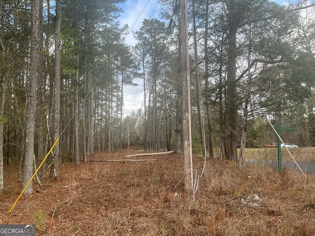 8615 Smith James Road TRACT 2, Snellville, GA 30039