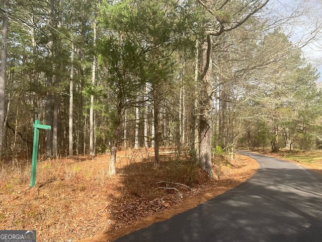 8615 Smith James Road TRACT 2, Snellville, GA 30039