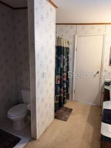 13921 PINE MEADOW ROAD, Kathleen, FL 33849