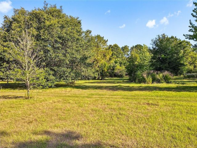13921 PINE MEADOW ROAD, Kathleen, FL 33849