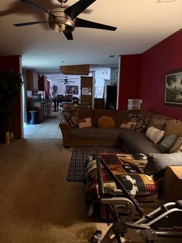 13921 PINE MEADOW ROAD, Kathleen, FL 33849