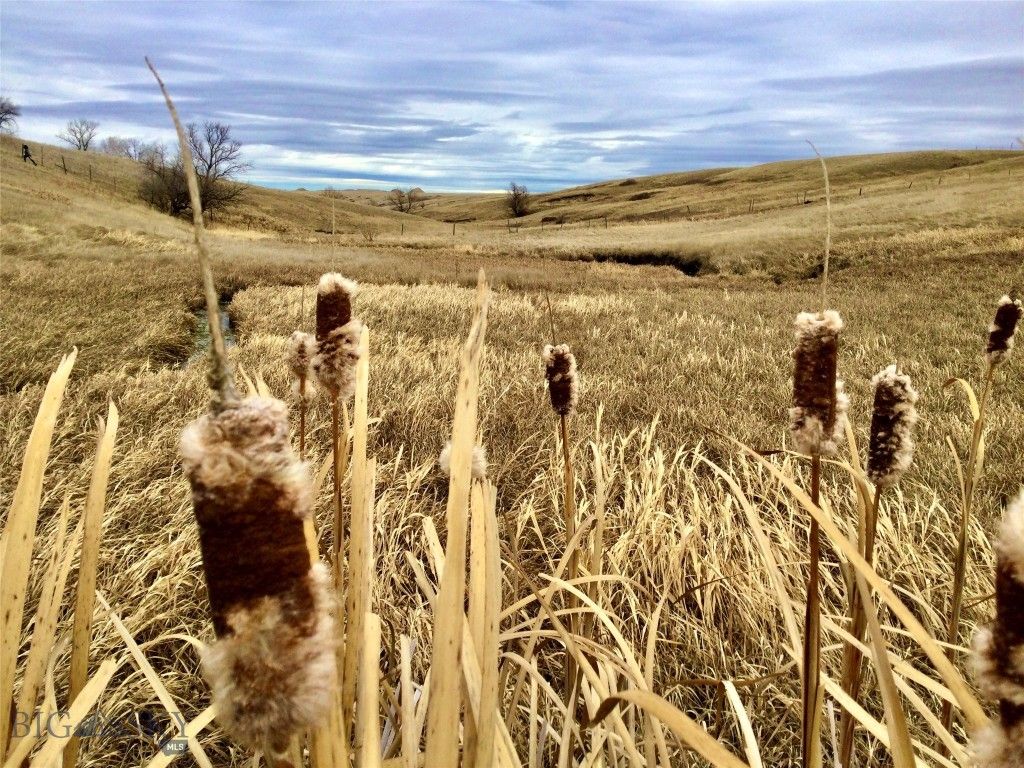 1481 Countyline Road, Vaughn, MT 59487 photo 27