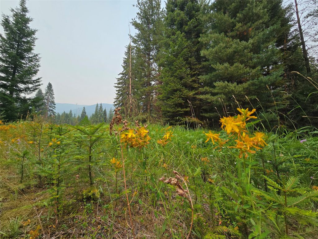 12941 Yaak River Road, Yaak, MT 59935 photo 1