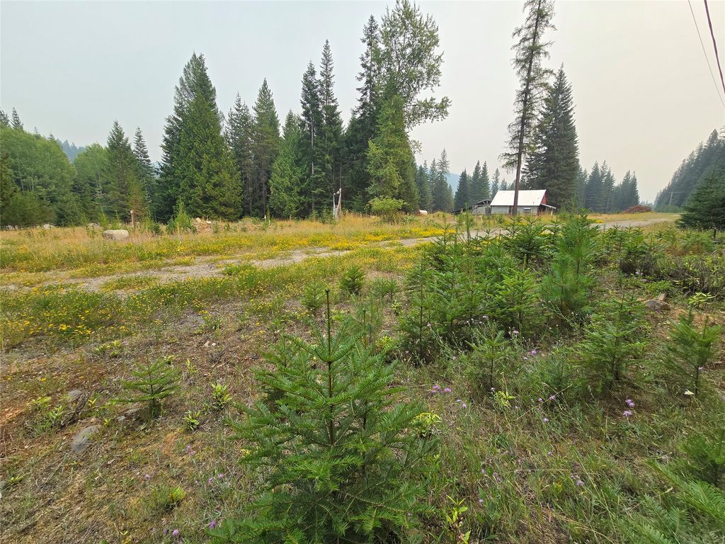 12941 Yaak River Road, Yaak, MT 59935 photo 2