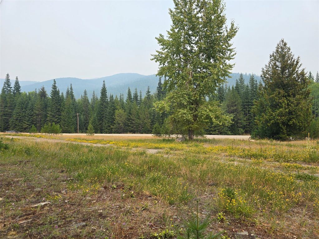 12941 Yaak River Road, Yaak, MT 59935 photo 3