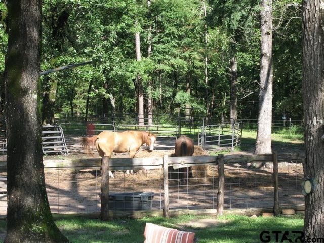 15210 County Rd 285 Old Omen Rd., Tyler, TX 75707
