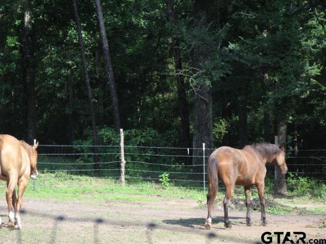 15210 County Rd 285 Old Omen Rd., Tyler, TX 75707