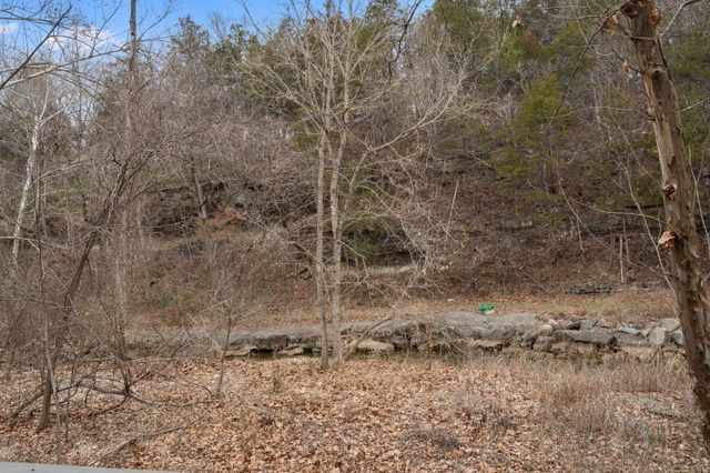 78 Cozy Cove Road 27, Branson, MO 65616