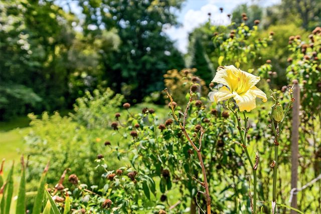 306 Prospect Street, Berea, KY 40403