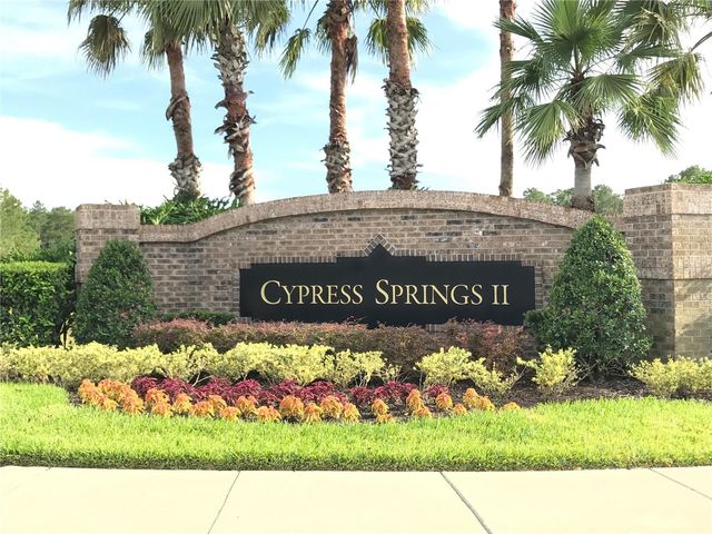 1702 CYPRESS RIDGE DRIVE, Orlando, FL 32825