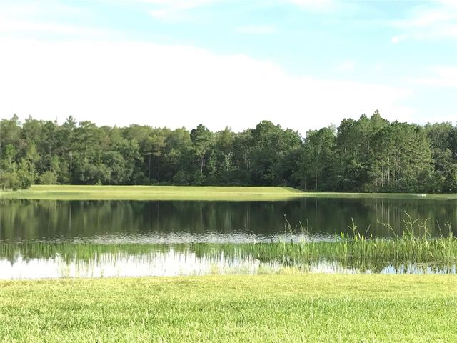 1702 CYPRESS RIDGE DRIVE, Orlando, FL 32825