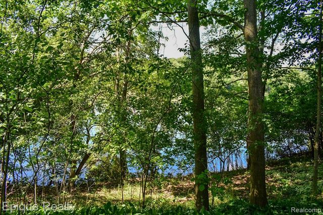 300 W Dewey Road, Owosso, MI 48867