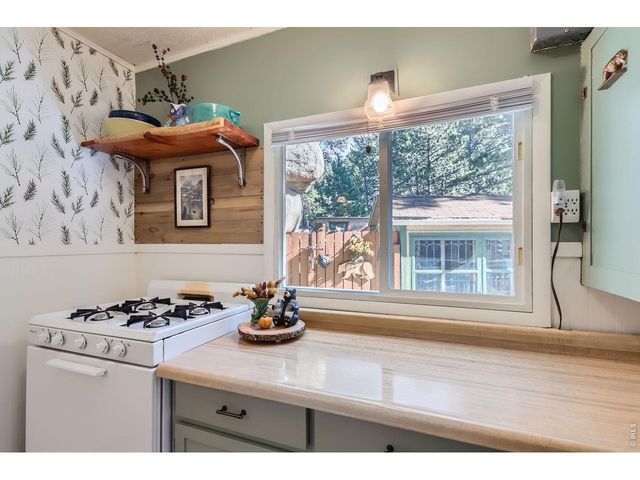 47 Berthoud Dale Ln, Drake, CO 80515