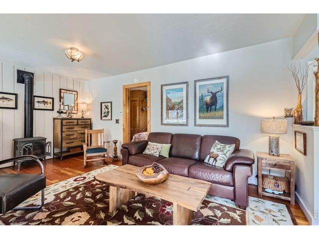 47 Berthoud Dale Ln, Drake, CO 80515