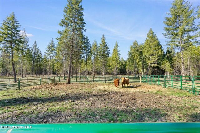 517 Songbird WAY, Spirit Lake, ID 83869
