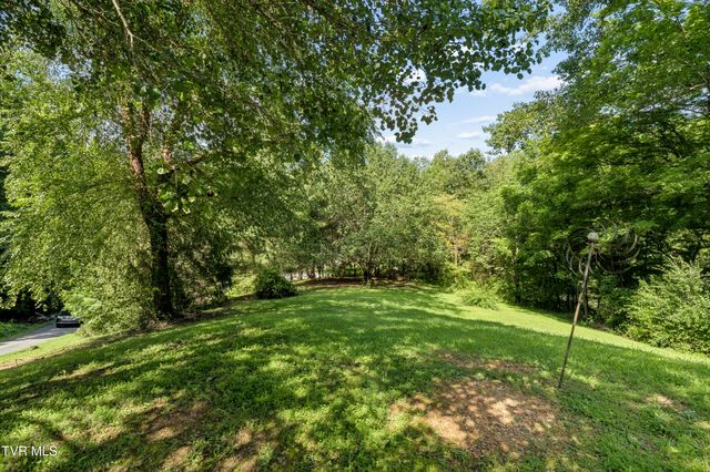 152 Webb Drive, Bluff City, TN 37618