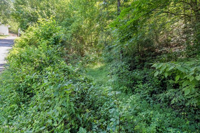 152 Webb Drive, Bluff City, TN 37618