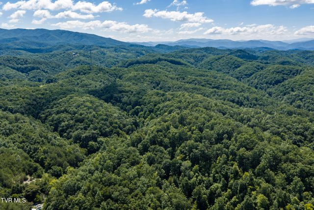 152 Webb Drive, Bluff City, TN 37618