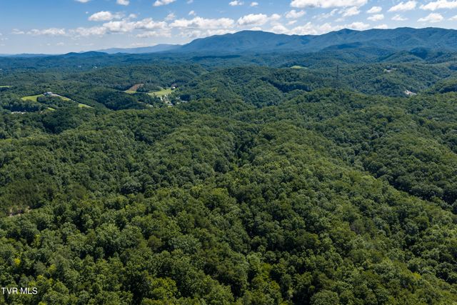 152 Webb Drive, Bluff City, TN 37618
