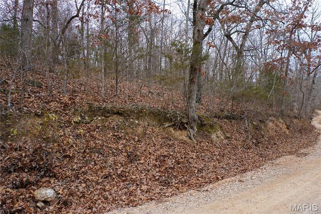 Tract D Holiday Lane, Dixon, MO 65459