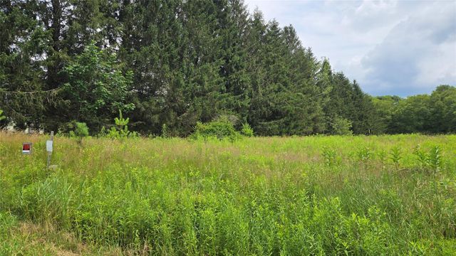 Old White Lake Turnpike, Bethel, NY 12720